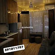 30 ლარი ღამე, ბინა დღიურად