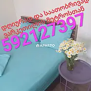 30 ლარი ღამე, ბინა დღიურად