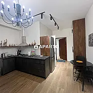 70 ლარი ღამე, ბინა დღიურად