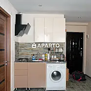 1 ლარი ღამე, ბინა დღიურად