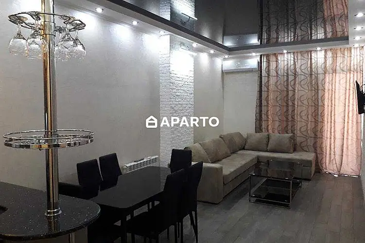 160 ლარი ღამე, ბინა დღიურად