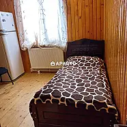 100 ლარი ღამე, ბინა დღიურად