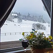 60 ლარი ღამე, ბინა დღიურად