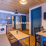 80 ლარი ღამე, ბინა დღიურად