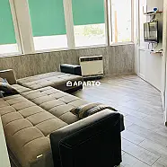80 ლარი ღამე, ბინა დღიურად