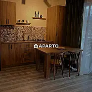 200 ლარი ღამე, ბინა დღიურად