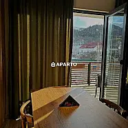 200 ლარი ღამე, ბინა დღიურად