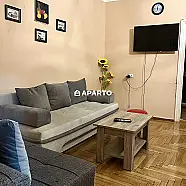 60 ლარი ღამე, ბინა დღიურად