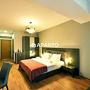 50 ლარი ღამე, ბინა დღიურად