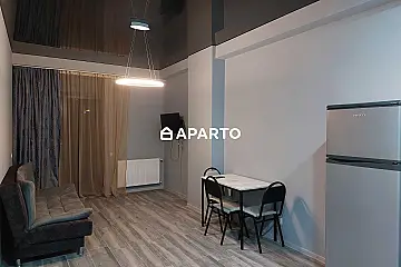 90 ლარი ღამე, ბინა დღიურად
