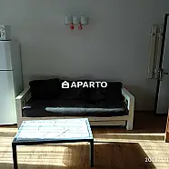 100 ლარი ღამე, ბინა დღიურად