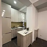 50 ლარი ღამე, ბინა დღიურად