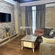 100 ლარი ღამე, ბინა დღიურად