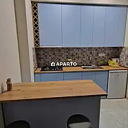 60 ლარი ღამე, ბინა დღიურად