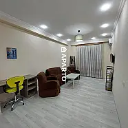 90 ლარი ღამე, ბინა დღიურად