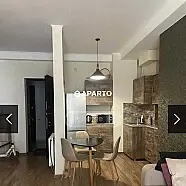 60 ლარი ღამე, ბინა დღიურად