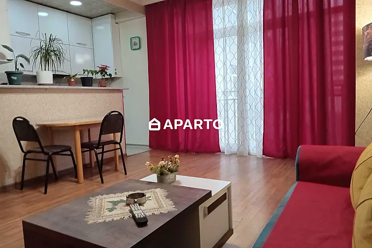 60 ლარი ღამე, ბინა დღიურად