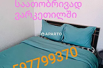 30 ლარი ღამე, ბინა დღიურად