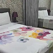 70 ლარი ღამე, ბინა დღიურად