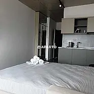 50 ლარი ღამე, ბინა დღიურად