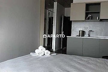 50 ლარი ღამე, ბინა დღიურად