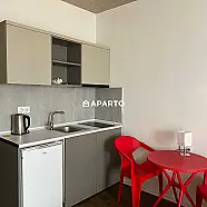 50 ლარი ღამე, ბინა დღიურად