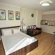 50 ლარი ღამე, ბინა დღიურად