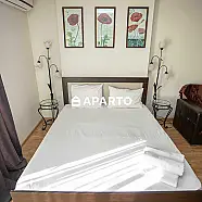 50 ლარი ღამე, ბინა დღიურად
