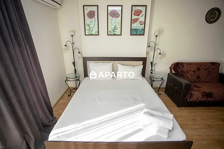 50 ლარი ღამე, ბინა დღიურად