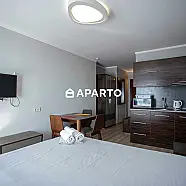 50 ლარი ღამე, ბინა დღიურად
