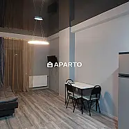 90 ლარი ღამე, ბინა დღიურად