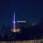 120 ლარი ღამე, ბინა დღიურად