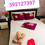 30 ლარი ღამე, ბინა დღიურად