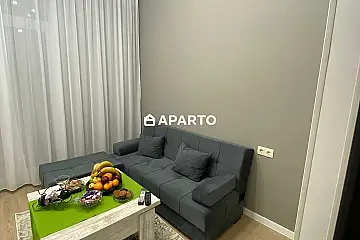 50 ლარი ღამე, ბინა დღიურად