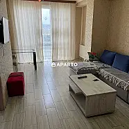 50 ლარი ღამე, ბინა დღიურად