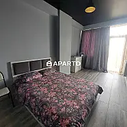 90 ლარი ღამე, ბინა დღიურად