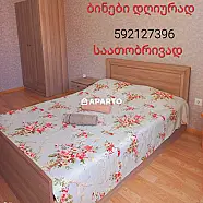 50 ლარი ღამე, ბინა დღიურად