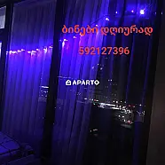 50 ლარი ღამე, ბინა დღიურად