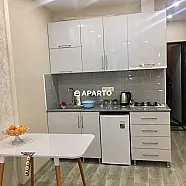 100 ლარი ღამე, ბინა დღიურად