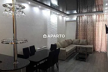 160 ლარი ღამე, ბინა დღიურად