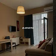 50 ლარი ღამე, ბინა დღიურად