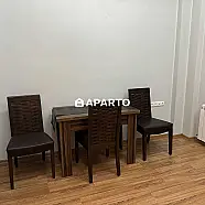 150 ლარი ღამე, ბინა დღიურად