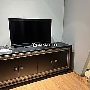 150 ლარი ღამე, ბინა დღიურად
