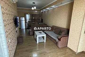 60 ლარი ღამე, ბინა დღიურად