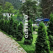 30 ლარი ღამე, ბინა დღიურად