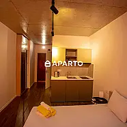 50 ლარი ღამე, ბინა დღიურად