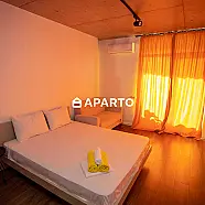 50 ლარი ღამე, ბინა დღიურად