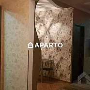 40 ლარი ღამე, ბინა დღიურად