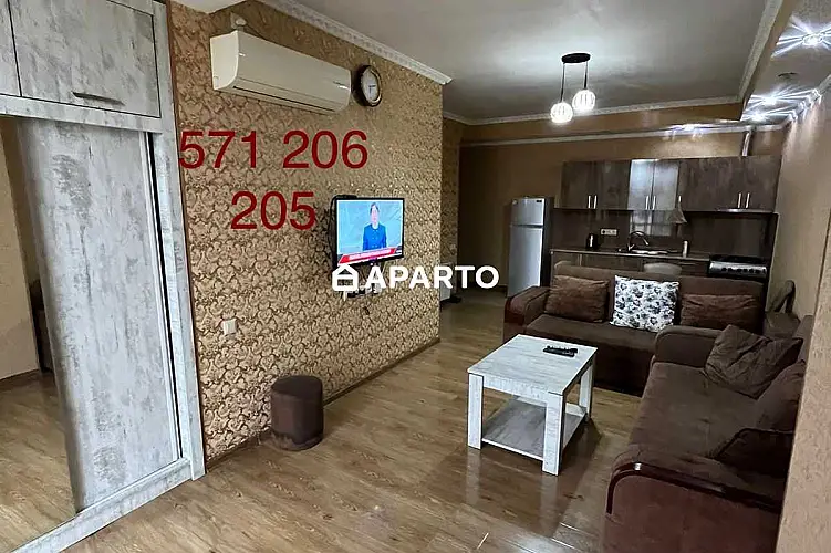 50 ლარი ღამე, ბინა დღიურად