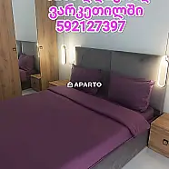 30 ლარი ღამე, ბინა დღიურად